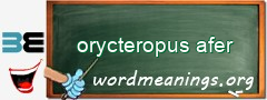 WordMeaning blackboard for orycteropus afer